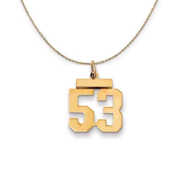 14k Yellow Gold, Athletic, Sm Polished Number 53 Necklace - 20 Inch - Picture 1 of 7